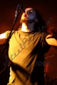 img_8603_resize.jpg